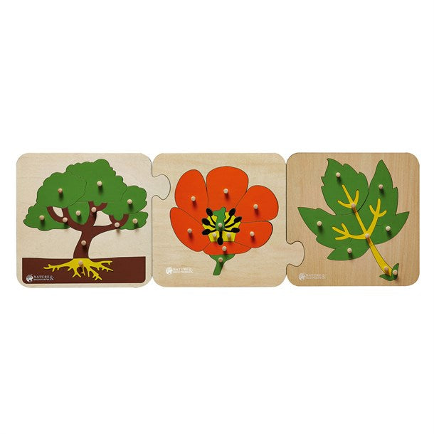 3 puzzles botaniques Montessori- BOIS - A partir de 3 ans